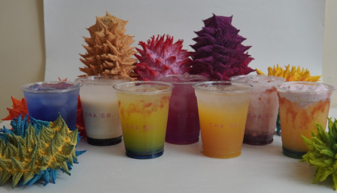 Keberlangsungan Bisnis Franchise Cha Co