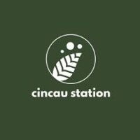 Franchise Cincau Station, Bisnis Minuman Segar, Peluang Usaha 2026, Waralaba Minuman, Daily Biz
