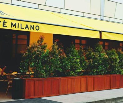 Proyeksi Keuntungan dan Balik Modal Franchise Caffe Milano