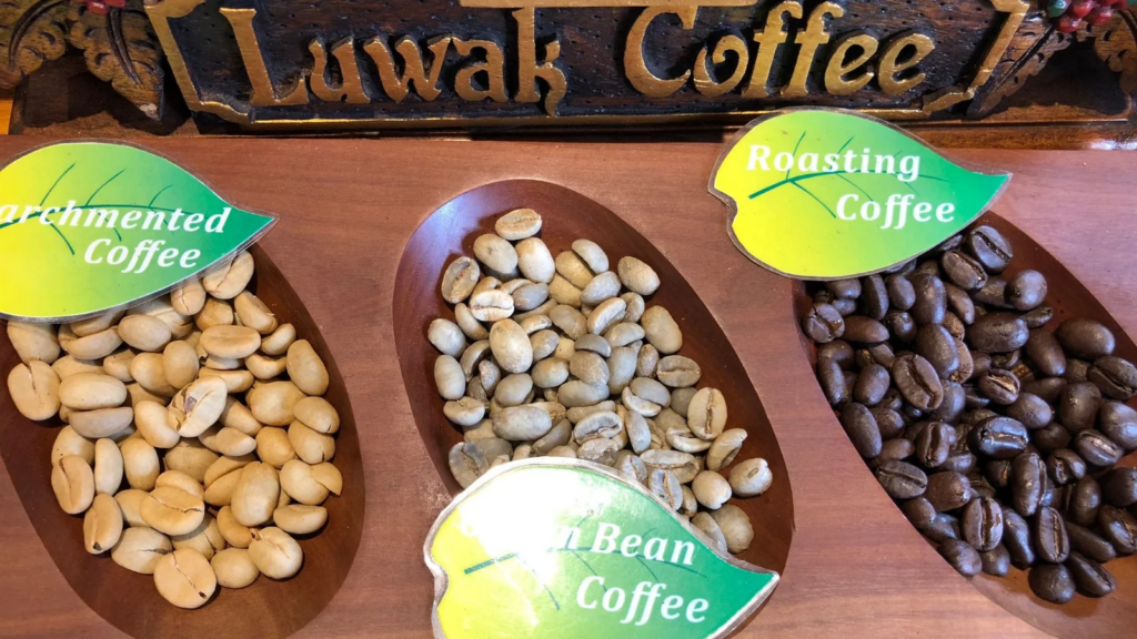 Keuntungan Franchise Kopi Luwak