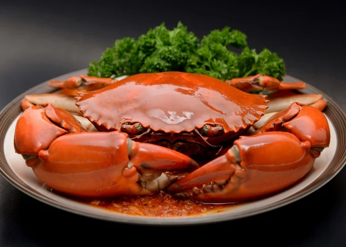 Pasar Potensial Franchise Kepiting Sumo